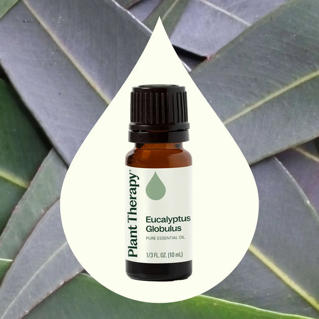 Eucalyptus Globulus Essential Oil 10 mL