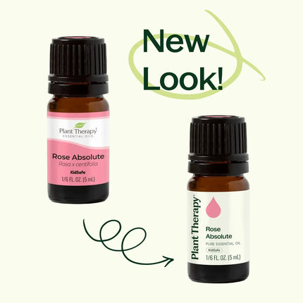 Rose Pure Absolute Essential Oil 5 mL