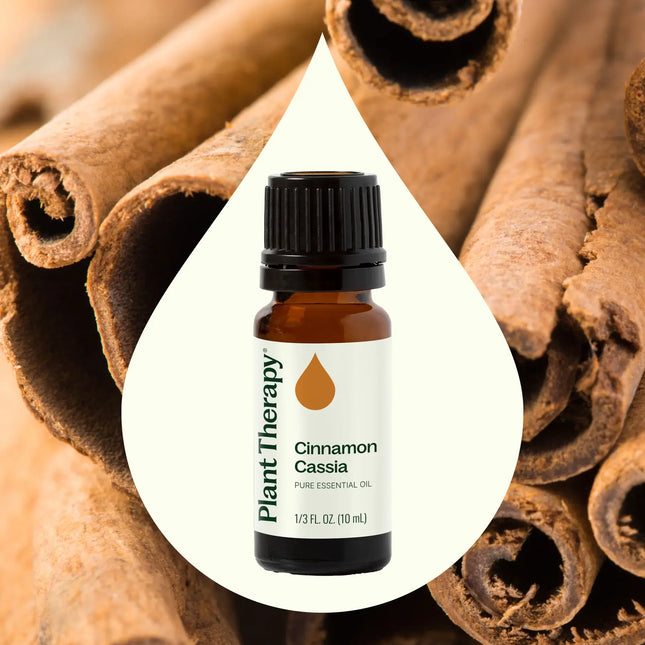 Cinnamon Cassia Essential Oil 10 mL