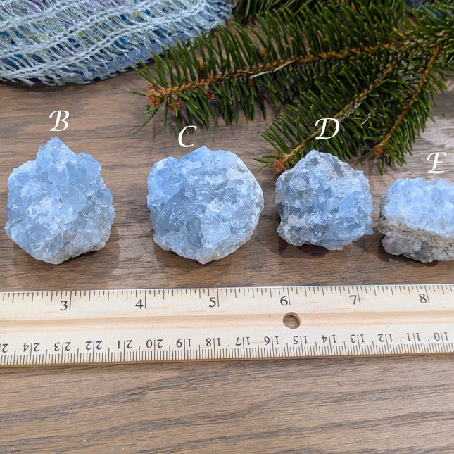 Blue Celestite Clusters