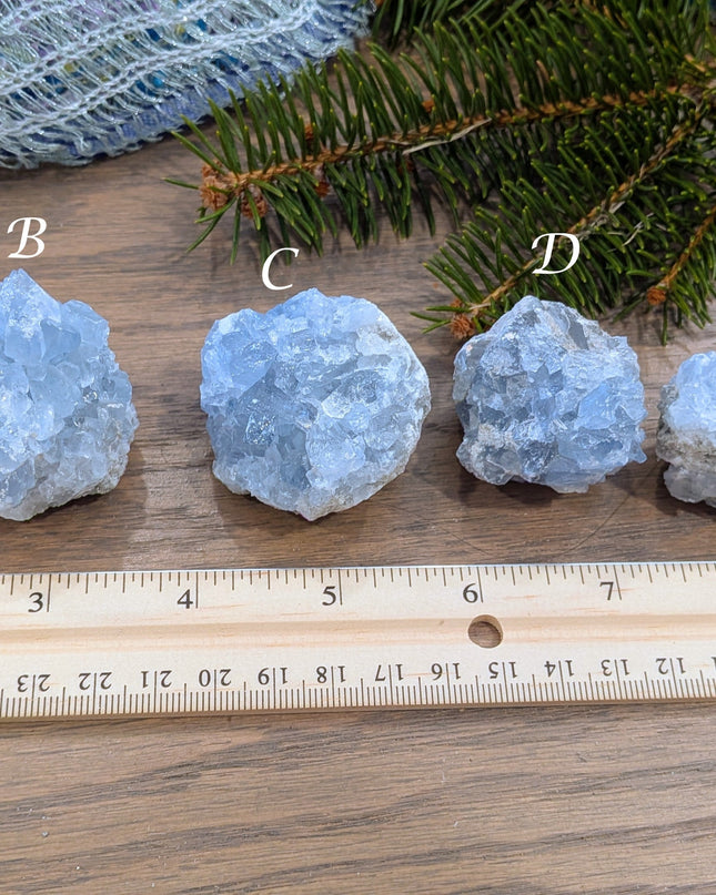 Blue Celestite Clusters