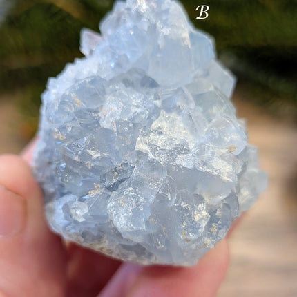 Blue Celestite Clusters - Variant B