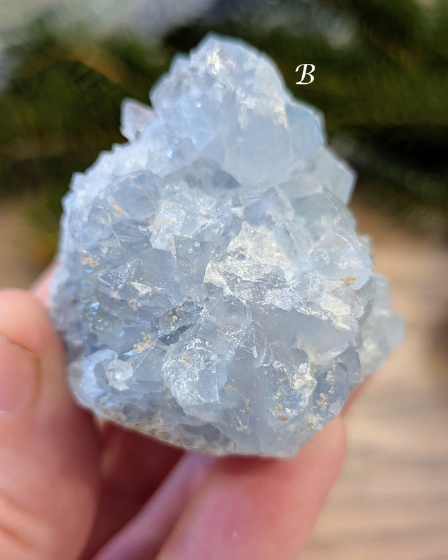 Blue Celestite Clusters - Variant B