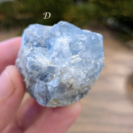 Blue Celestite Clusters - Variant D