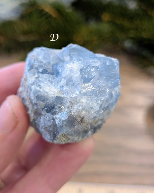 Blue Celestite Clusters - Variant D