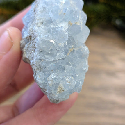 Blue Celestite Clusters - Variant E