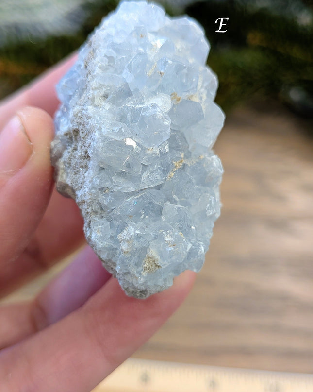 Blue Celestite Clusters - Variant E