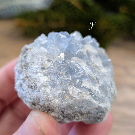 Blue Celestite Clusters - Variant F