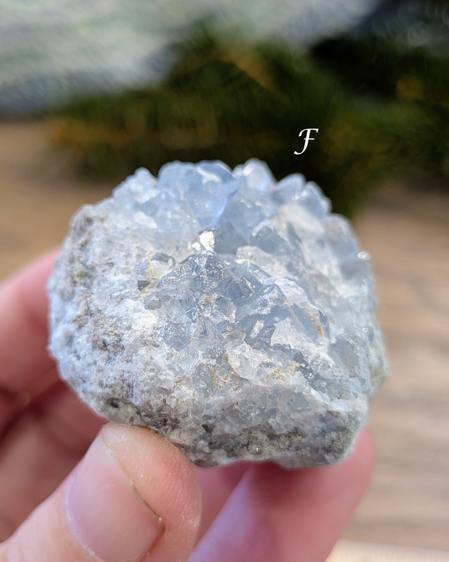 Blue Celestite Clusters - Variant F