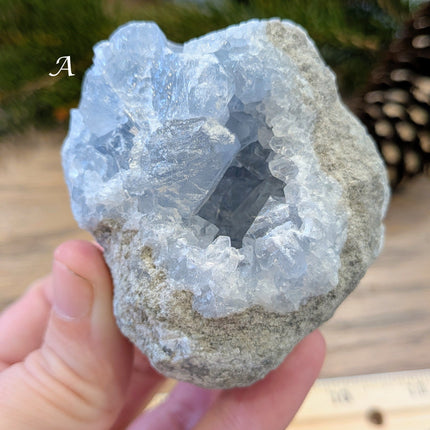 Blue Celestite Geodes - Variant A