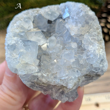 Blue Celestite Geodes - Variant A
