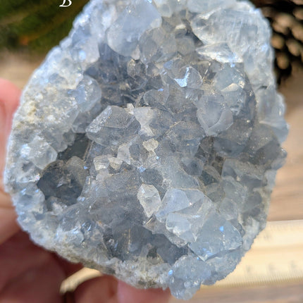 Blue Celestite Geodes - Variant B