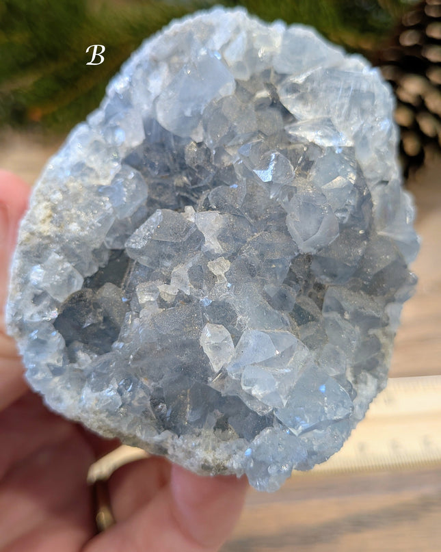 Blue Celestite Geodes - Variant B