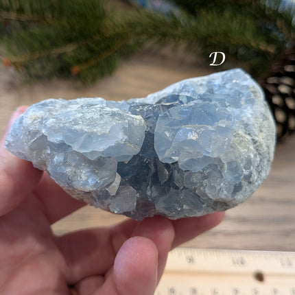 Blue Celestite Geodes - Variant D