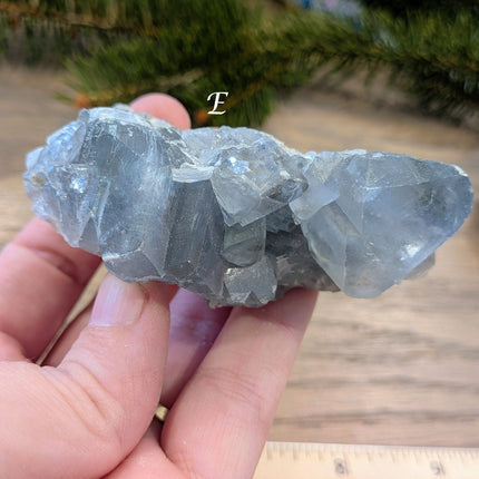 Blue Celestite Geodes - Variant E