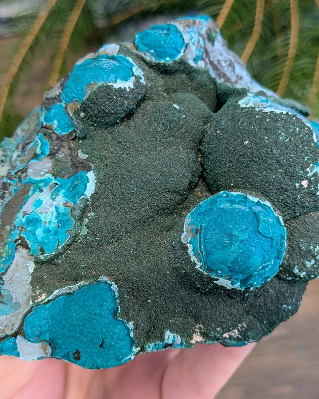 Chrysocolla & Malachite Specimen