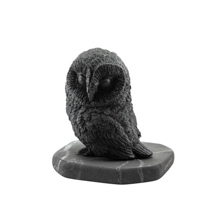 Shungite Figurine Owl Side Facing