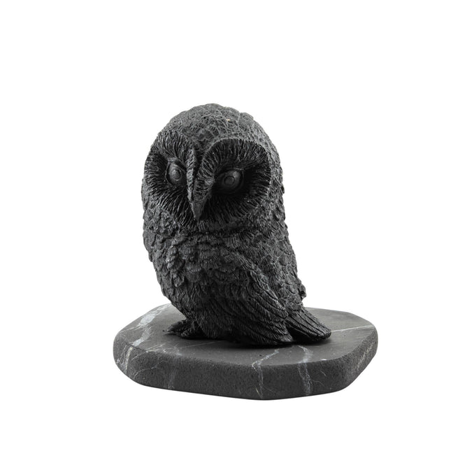 Shungite Figurine Owl Side Facing