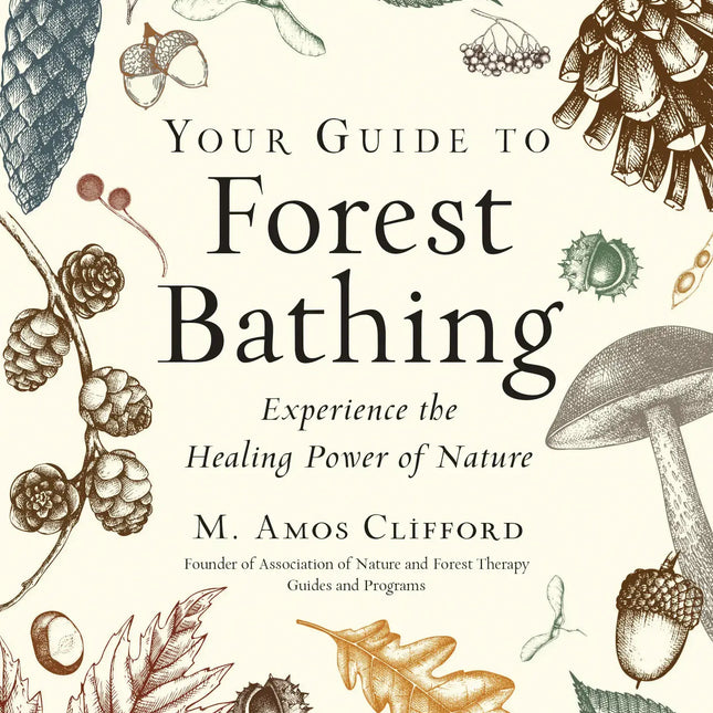 Your Guide to Forest Bathing: Expanded Edition