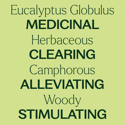 Eucalyptus Globulus Essential Oil 10 mL