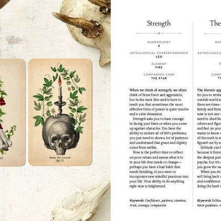 Antique Anatomy Tarot