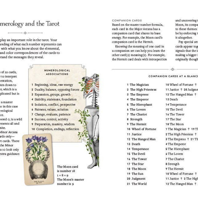 Antique Anatomy Tarot