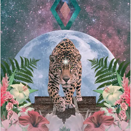 Lunar Magic Oracle