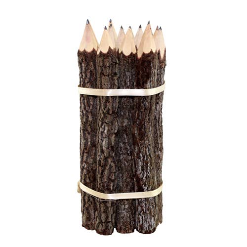Natural Branch Graphite Pencils