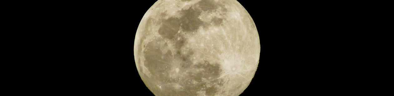 <h3>Wolf Moon Sweepstakes</h3>