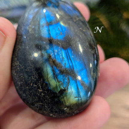 Blue, Green Labradorite Palm Stones - Variant N