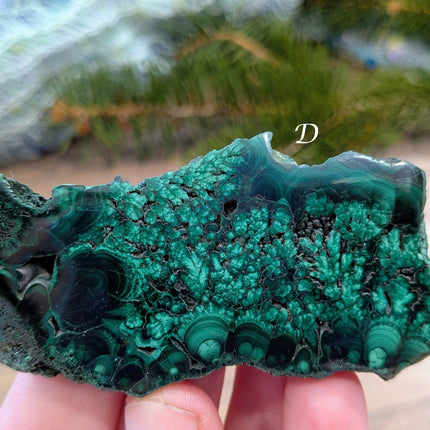 Green Malachite Slabs - Variant D
