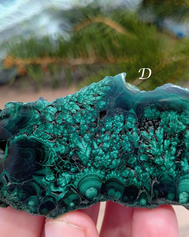 Green Malachite Slabs - Variant D