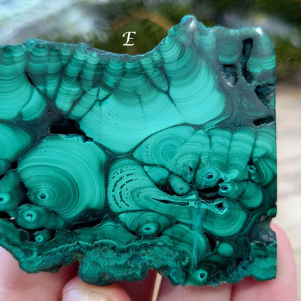 Green Malachite Slabs - Variant E