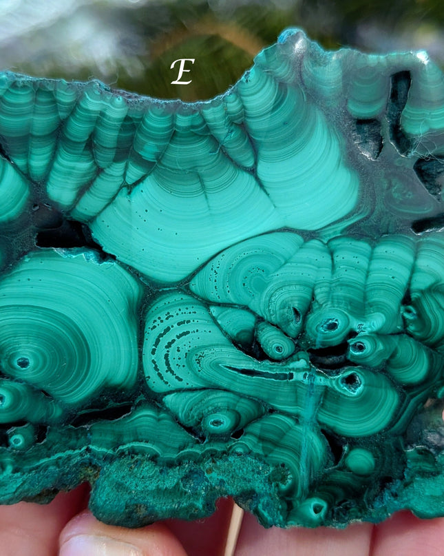 Green Malachite Slabs - Variant E