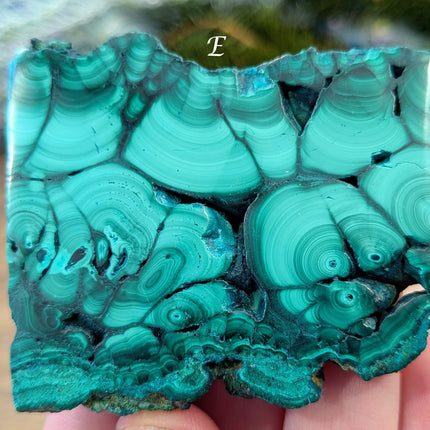 Green Malachite Slabs - Variant E