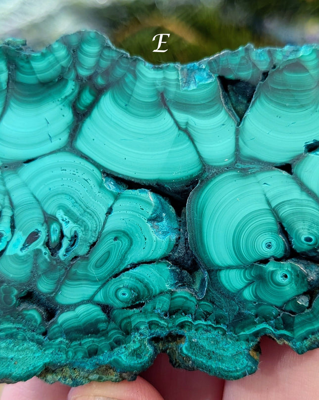 Green Malachite Slabs - Variant E