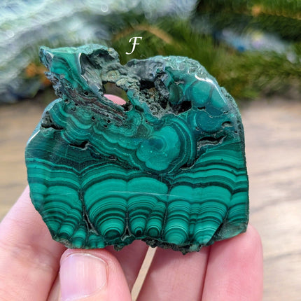 Green Malachite Slabs - Variant F