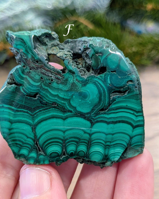 Green Malachite Slabs - Variant F