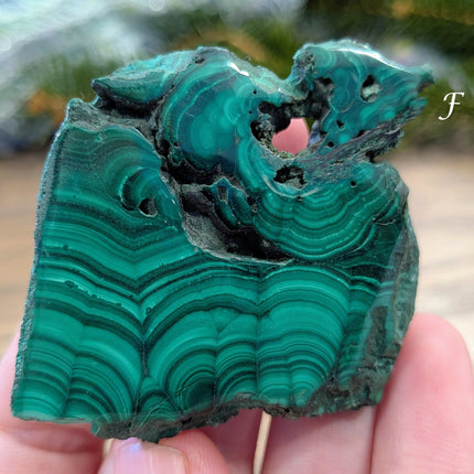Green Malachite Slabs - Variant F