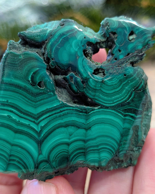 Green Malachite Slabs - Variant F