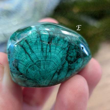 Green   Malachite Tumbled Stones - Variant E