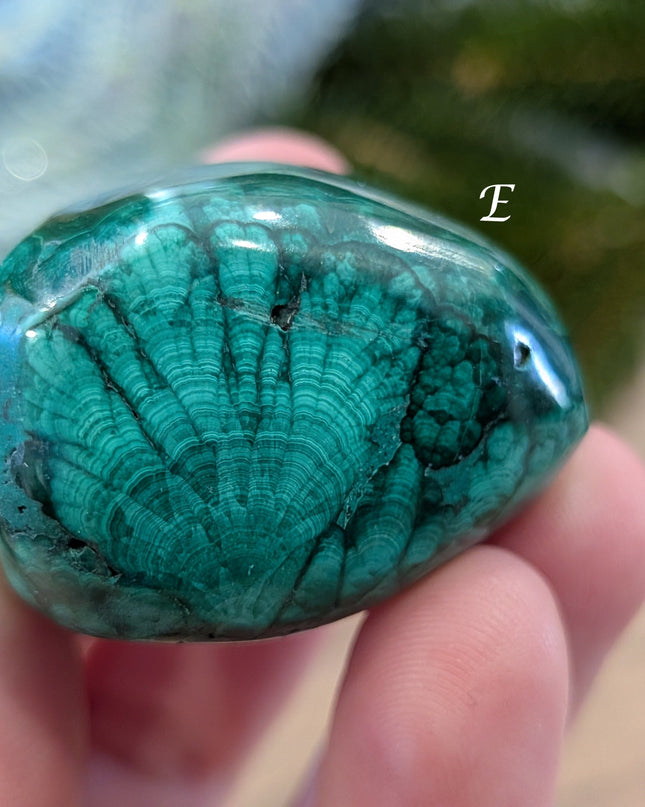 Green   Malachite Tumbled Stones - Variant E