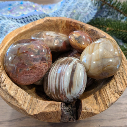 Brown, Tan, Red Petrified Wood Palm Stones