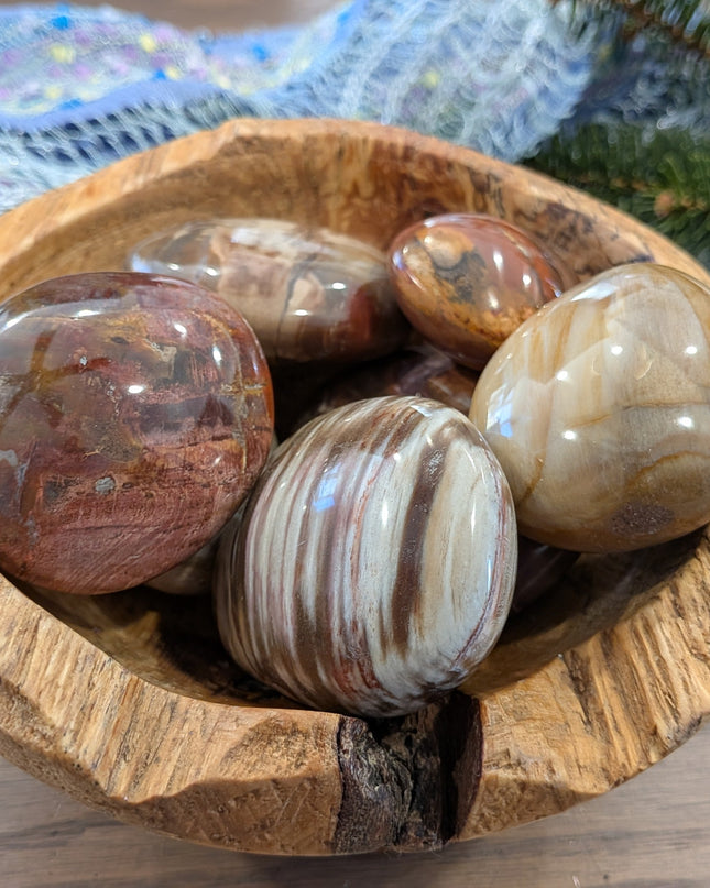 Brown, Tan, Red Petrified Wood Palm Stones