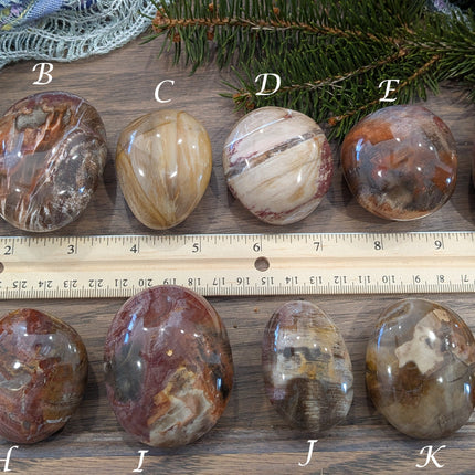 Brown, Tan, Red Petrified Wood Palm Stones