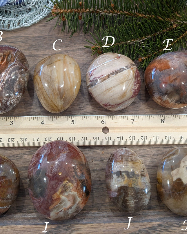 Brown, Tan, Red Petrified Wood Palm Stones