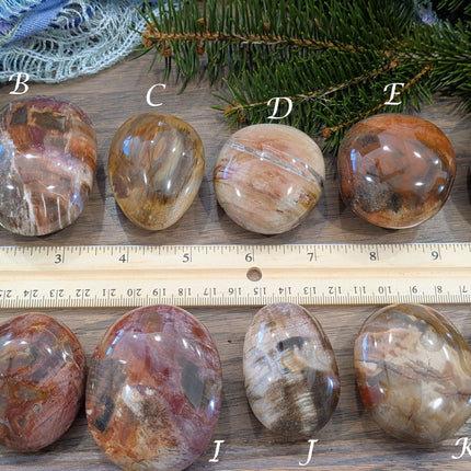 Brown, Tan, Red Petrified Wood Palm Stones