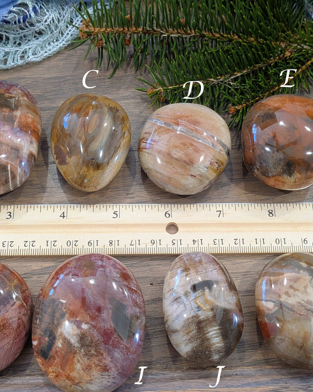Brown, Tan, Red Petrified Wood Palm Stones