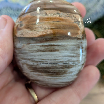 Brown, Tan, Red Petrified Wood Palm Stones - Variant A