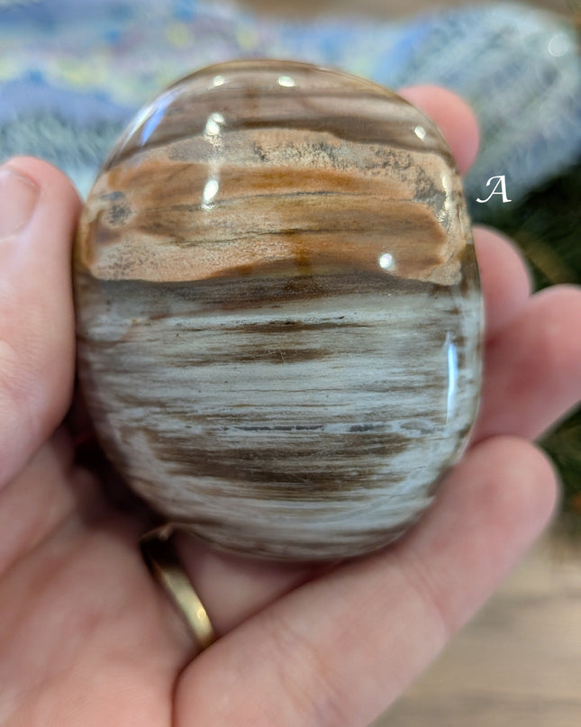 Brown, Tan, Red Petrified Wood Palm Stones - Variant A